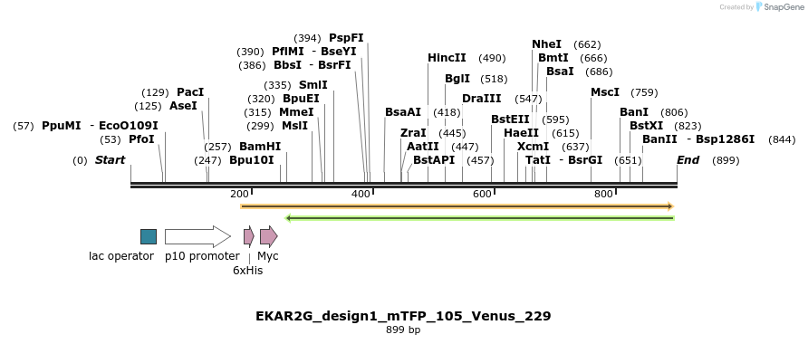 54632_map