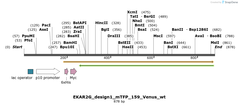 54634_map