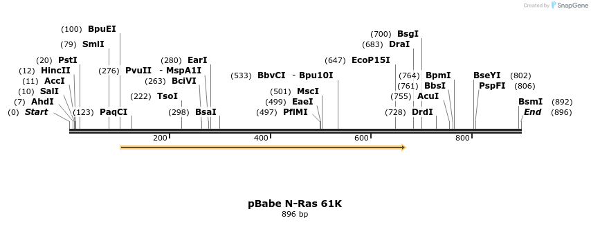 54636_map