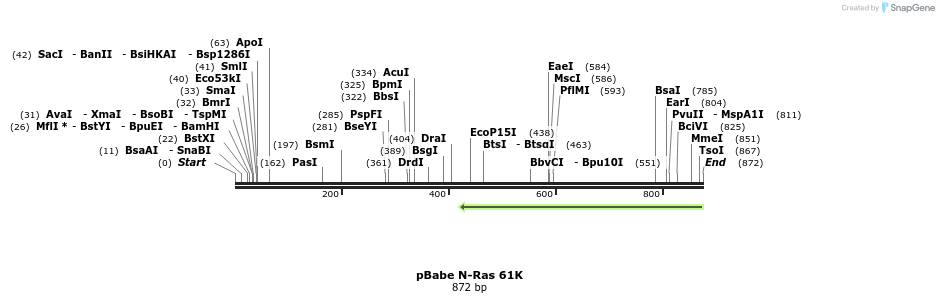 54638_map