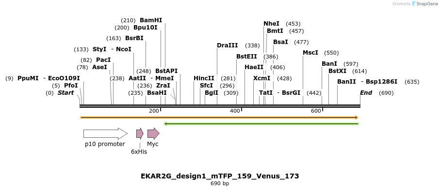 54641_map