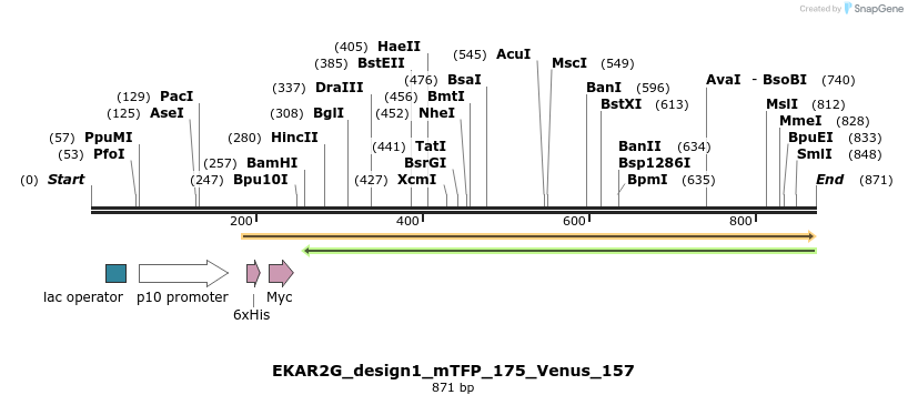 54651_map