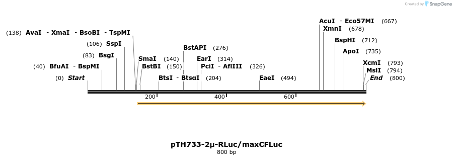 54656_map