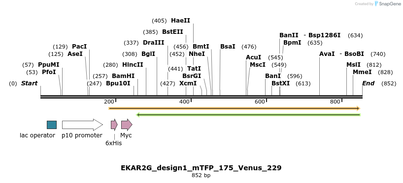 54657_map