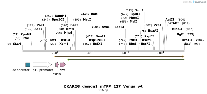 54658_map