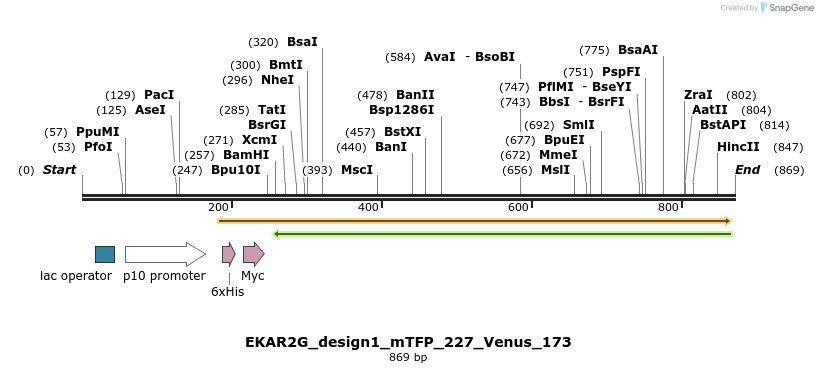 54661_map