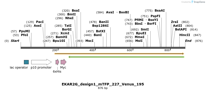 54662_map