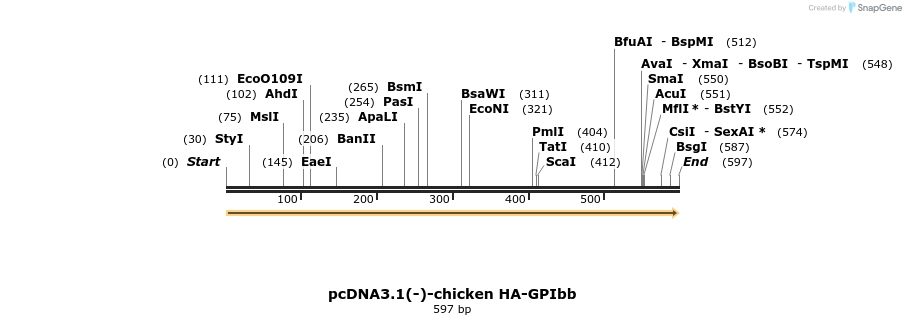 54665_map