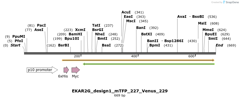54673_map