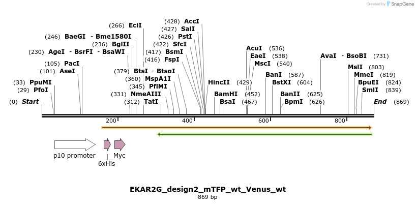 54674_map
