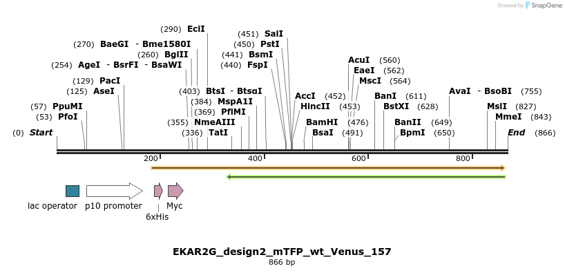 54675_map