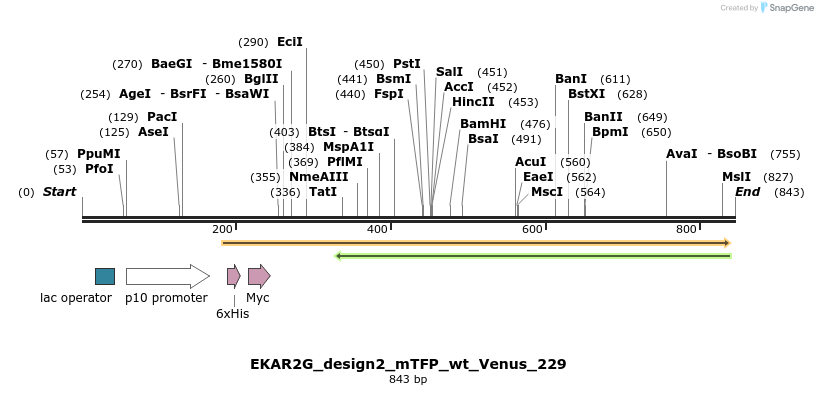 54680_map