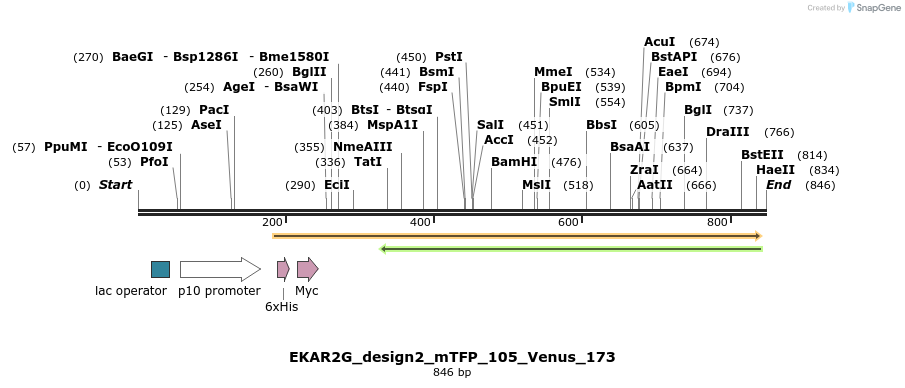 54686_map
