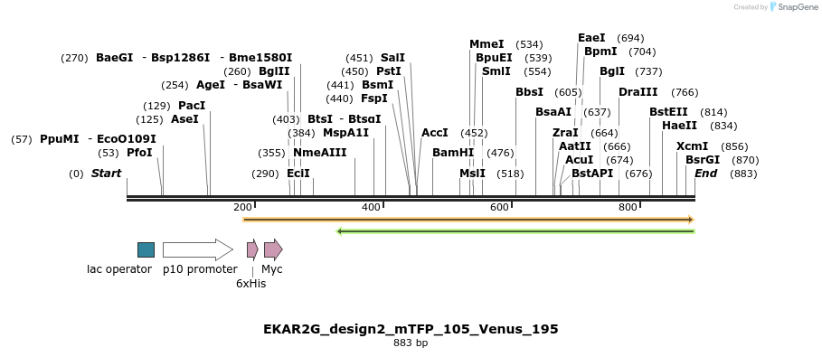 54687_map