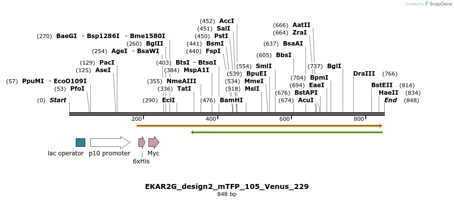54688_map
