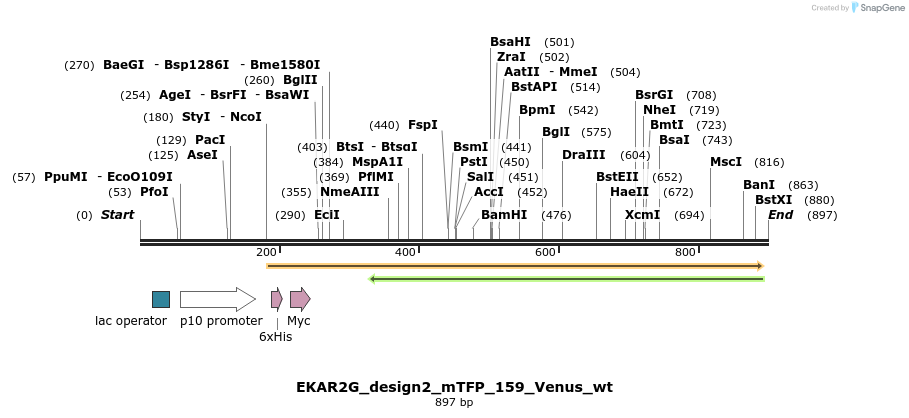 54690_map