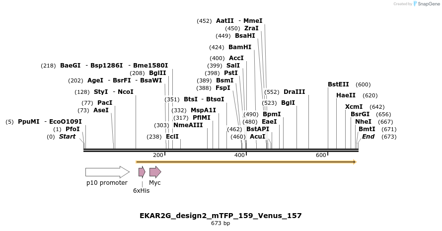 54691_map