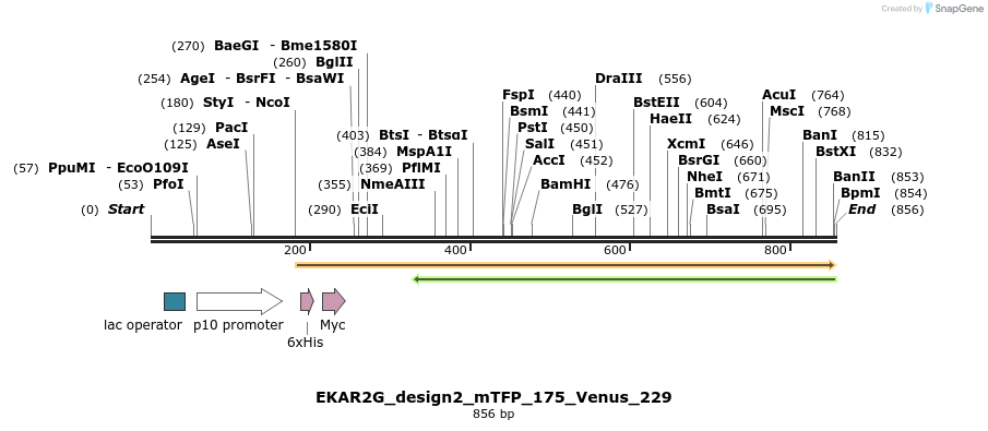 54700_map
