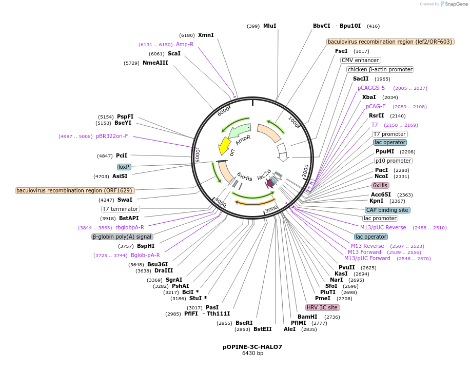 54701_map