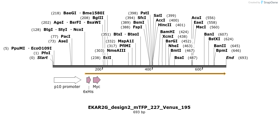 54710_map