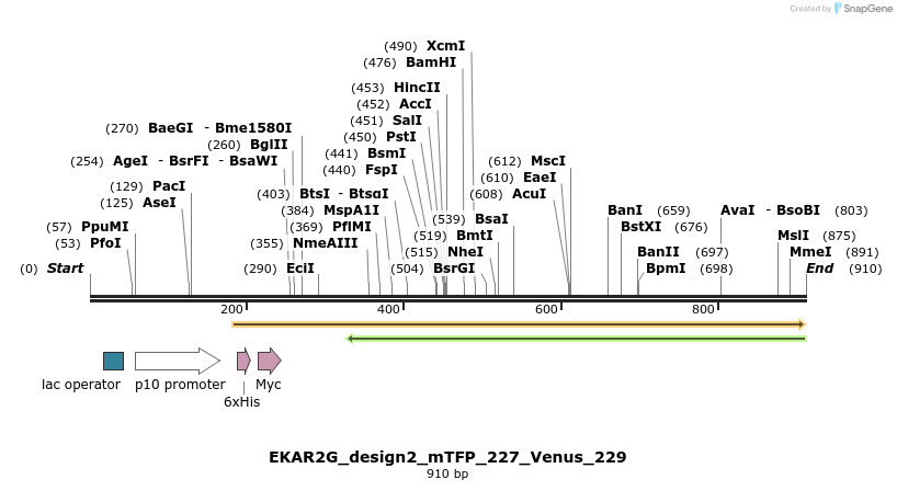54713_map