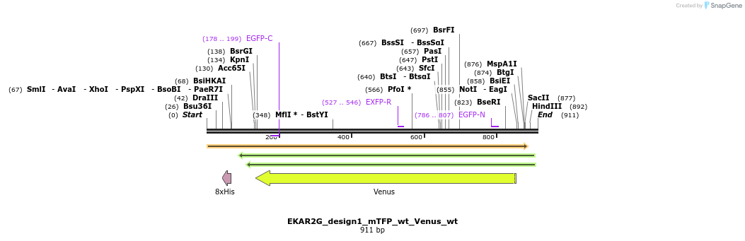 54721_map