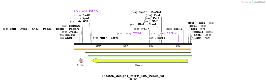 54736_map
