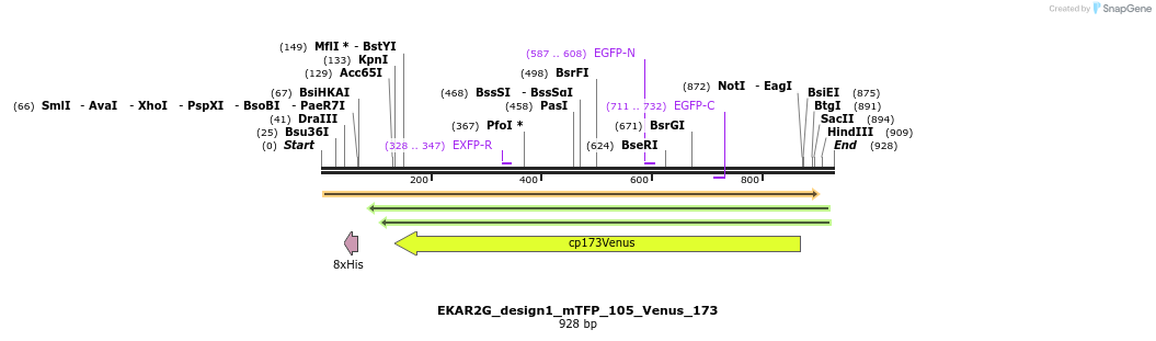 54740_map