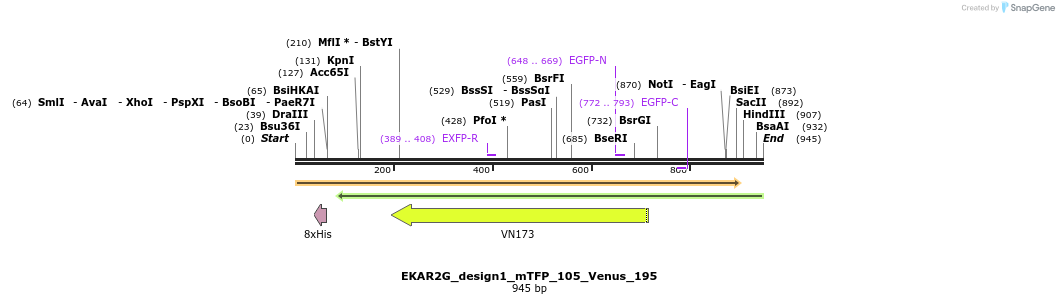 54741_map