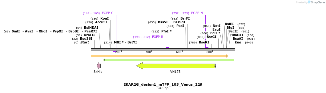 54744_map