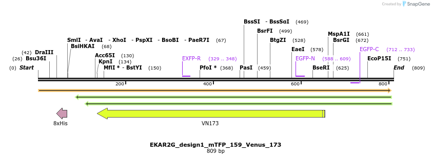 54748_map