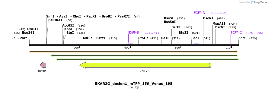54751_map