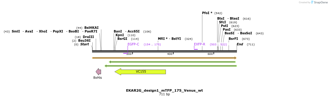 54753_map
