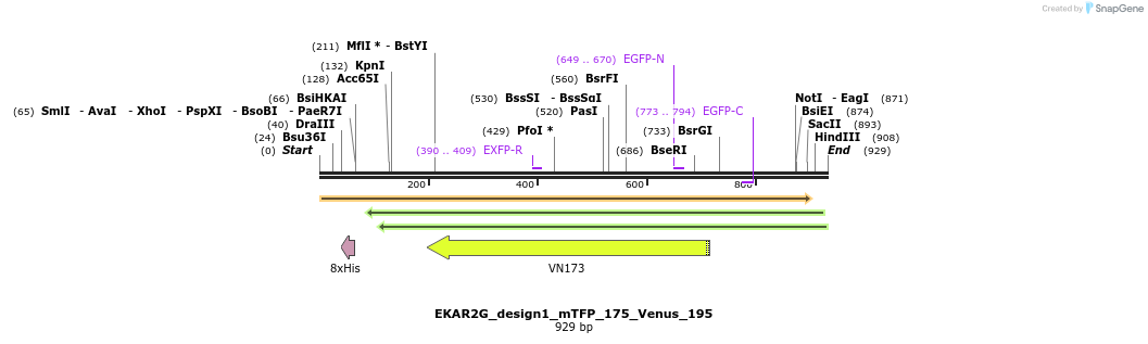 54757_map