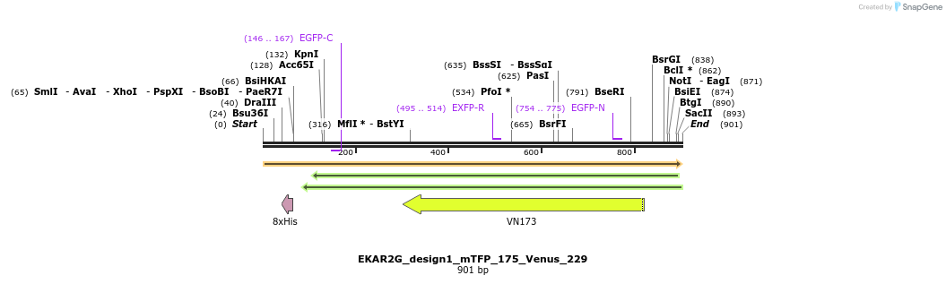 54758_map