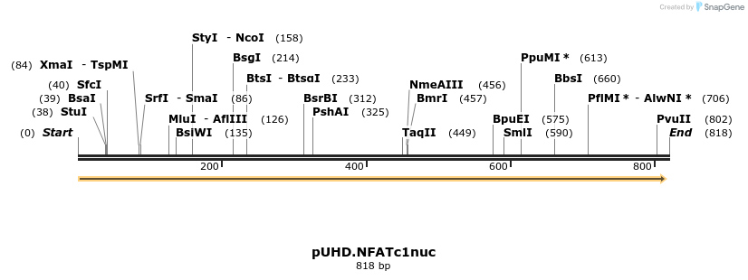 54759_map
