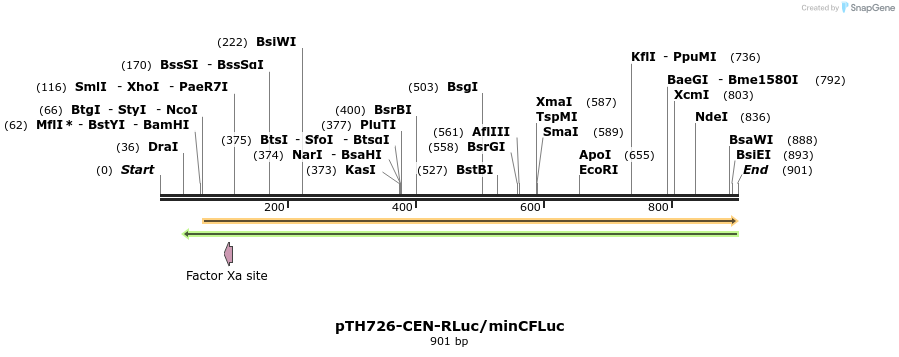 54761_map