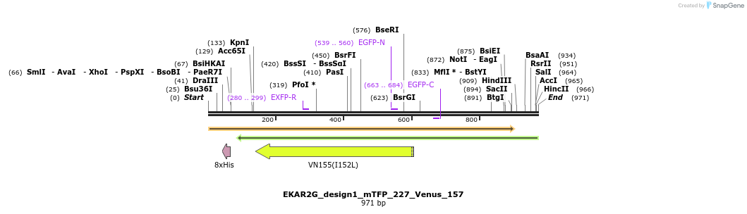 54762_map