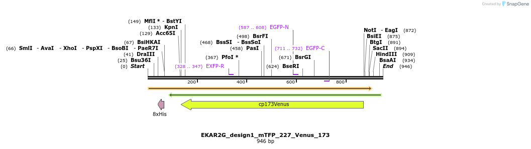 54763_map