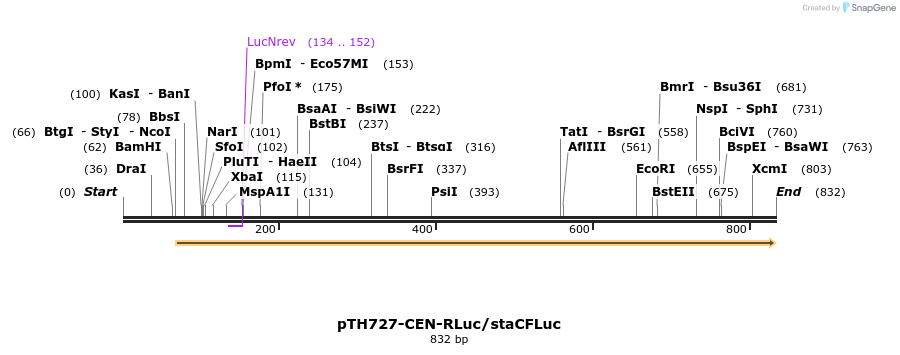 54764_map