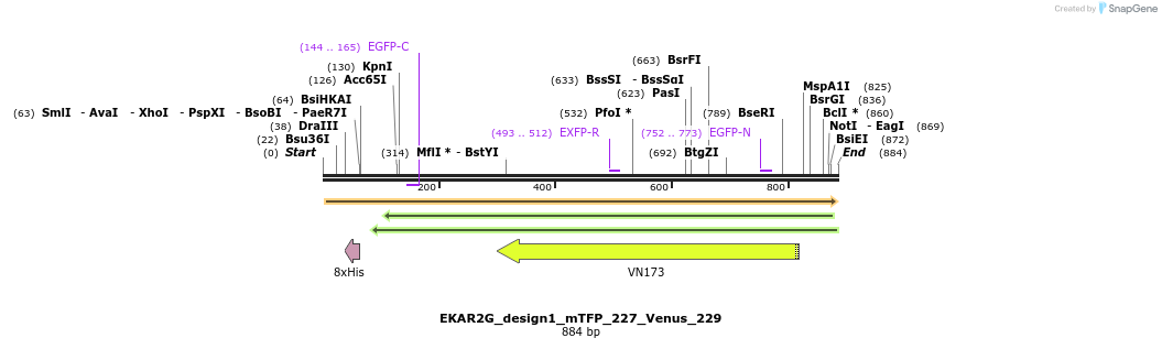 54766_map