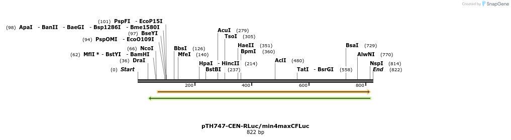 54770_map