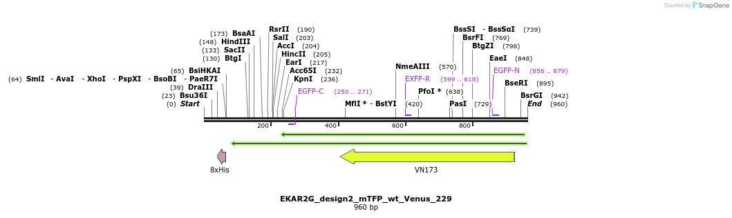 54774_map