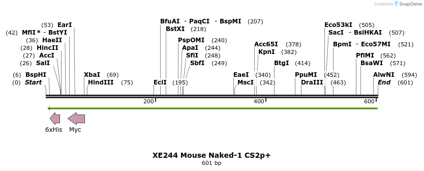 54777_map