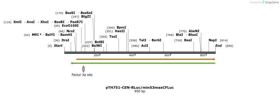 54778_map