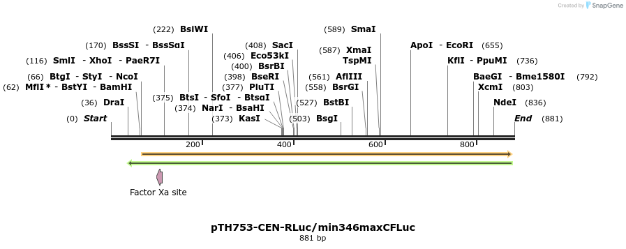 54780_map