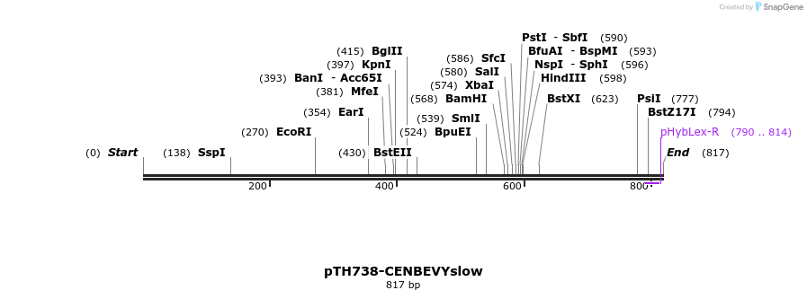 54782_map