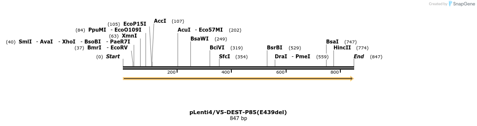 54785_map