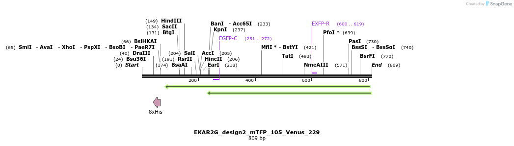 54789_map