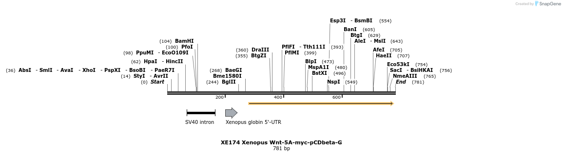 54793_map